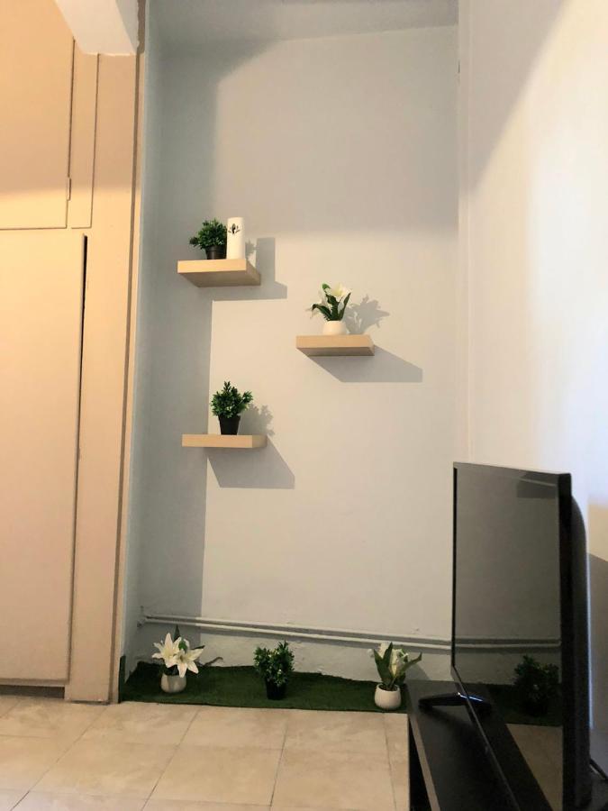 Lysandros Comfortable Apartments In Athens, Near The Metro ภายนอก รูปภาพ